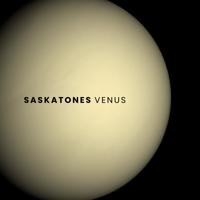 The Saskatones - Venus